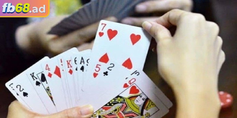 Tiến lên FB68 – Giải trí đỉnh cao kết hợp chiến thuật 3 Tận dụng cơ hội chặt heo hay sảnh mạnh khiến đối thủ mất thế chủ động